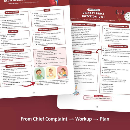 346-Page Essential Family Nurse Practitioner Paper Book - Customized, Organized Clinicals Resource for Student Care, Diagnose, Manages Needs, Fast System Scans Daily Desk Ref