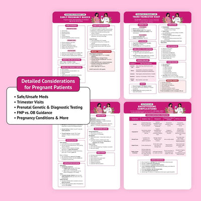346-Page Essential Family Nurse Practitioner Paper Book - Customized, Organized Clinicals Resource for Student Care, Diagnose, Manages Needs, Fast System Scans Daily Desk Ref