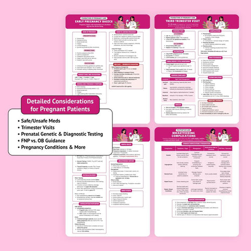 346-Page Essential Family Nurse Practitioner Paper Book - Customized, Organized Clinicals Resource for Student Care, Diagnose, Manages Needs, Fast System Scans Daily Desk Ref